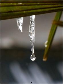 恰似寒冰遇暖阳,冰封岁月的温暖绽放